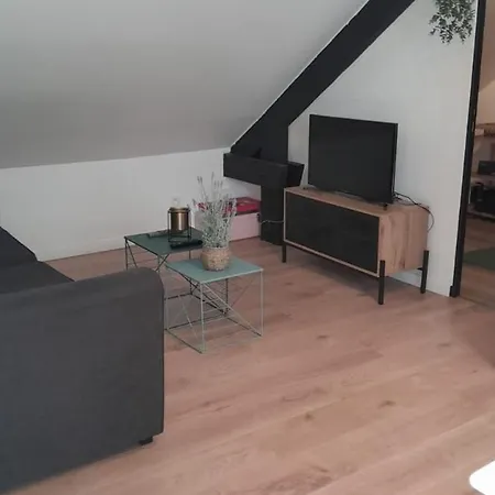 Atypique- Esprit Atelier Loft - Parking Prive - Wifi - Video * Amiens