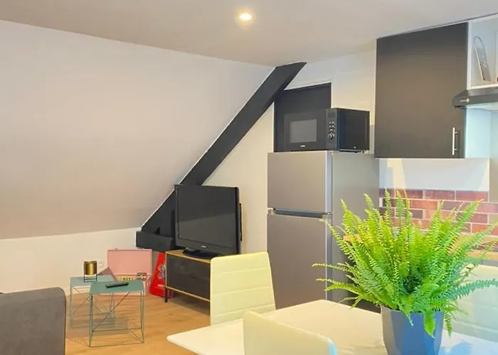 Atypique- Esprit Atelier Loft - Parking Prive - Wifi - Video Apartment